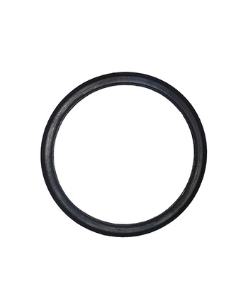 Кольцо уплотнительное поплавковой камеры 168/170F 